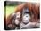 A Baby Orangutan Cuddles up Close to Her Mother at London Zoo, August 1991-null-Premier Image Canvas