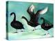 A Ballet of Black Swans, 2013-Nancy Moniz-Premier Image Canvas