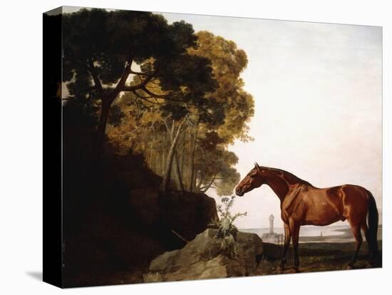 A Bay Arab in a Coastal Landscape, 1779-George Stubbs-Premier Image Canvas