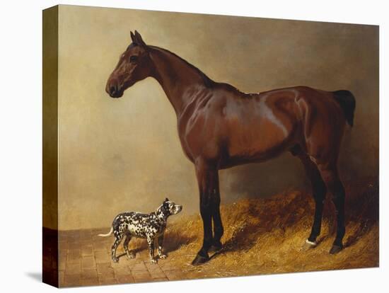 A Bay Hunter and a Spotted Dog in a Stable Interior-John Frederick Herring I-Premier Image Canvas