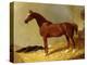 A Bay Racehorse in a Stall-John Frederick Herring I-Premier Image Canvas