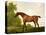 A Bay Thoroughbred in a Landscape, 1801-George Stubbs-Premier Image Canvas