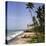 A Beach in Kerala, India, with Two Small Fishing Boats-PaulCowan-Premier Image Canvas