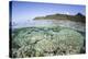 A Beautiful Coral Reef in Raja Ampat, Indonesia-Stocktrek Images-Premier Image Canvas