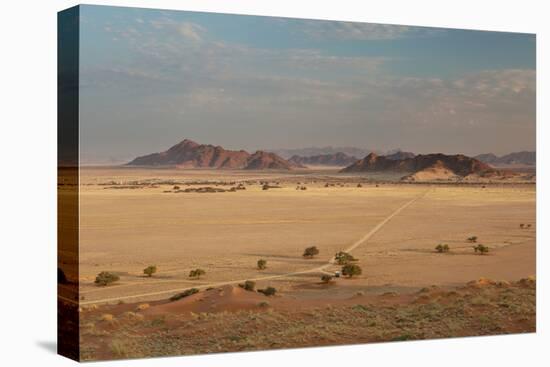 A Beautiful Landscape in Namib-Naukluft National Park, Taken from the Top of Elim Dune-Alex Saberi-Premier Image Canvas