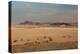 A Beautiful Landscape in Namib-Naukluft National Park, Taken from the Top of Elim Dune-Alex Saberi-Premier Image Canvas