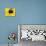 A Bee Collects Pollen from a Black-Eyed Susan-null-Premier Image Canvas displayed on a wall