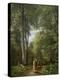 A Beech Wood in May near Iselingen Manor, Zealand, 1857-Peter Christian Skovgaard-Premier Image Canvas