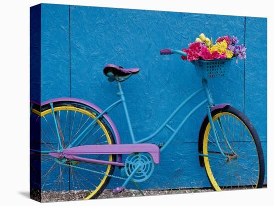 A Bicycle Against a Wall-null-Premier Image Canvas