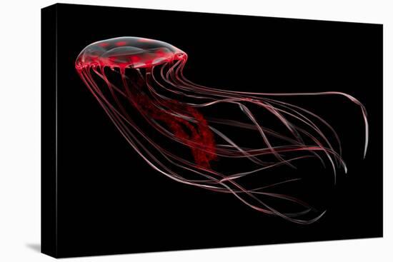 A Bioluminescent Red Jellyfish-null-Stretched Canvas