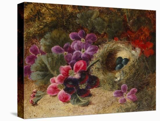 A Bird's Nest and Geraniums-Oliver Clare-Premier Image Canvas