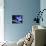 A Bird-Shaped Nebula Watches over a Group of Planets-Stocktrek Images-Premier Image Canvas displayed on a wall