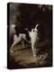 A Black and White Springer Spaniel with a Dead Partridge in a Landscape-John Wootton-Premier Image Canvas