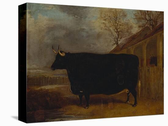 A Black Bull Standing by a Cowshed, an Extensive Landscape Beyond-James Pollard-Premier Image Canvas