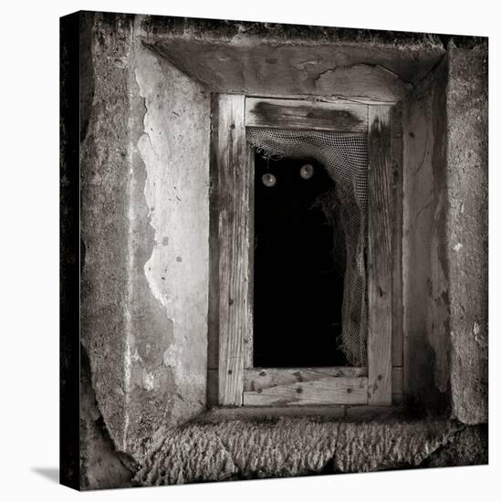 A Black Cat Inside a Window-Luis Beltran-Premier Image Canvas