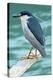 A Black-Crowned Night Heron Fishing, Lei Yu Mai Village, Hong Kong-Richard Wright-Premier Image Canvas