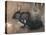 A Black Rabbit (Bodycolour on Linen)-Joseph Crawhall-Premier Image Canvas