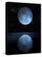 A Blue Moon Rising over a Calm Alien Ocean with a Starry Sky as a Backdrop-null-Stretched Canvas
