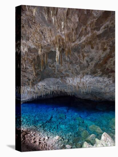 A Blue Underground Lake in Grotto Azul Cave System, Bonito, Brazil-Alex Saberi-Premier Image Canvas