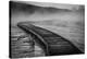 A Boardwalk Winds Through Biscuit Basin, Yellowstone National Park-Bryan Jolley-Premier Image Canvas