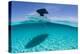 A Boat Is Anchored in the Clear Blue Tropical Waters Off Staniel Cay, Exuma, Bahamas-James White-Premier Image Canvas