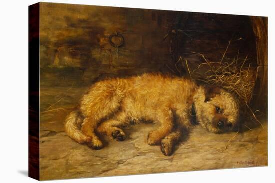 A Border Terrier Puppy, 1884 (Oil on Canvas)-Philip Eustace Stretton-Premier Image Canvas
