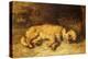 A Border Terrier Puppy-Philip Eustace Stretton-Premier Image Canvas