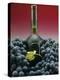 A Bottle of Red Wine with Black Grapes-Vladimir Shulevsky-Premier Image Canvas