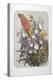 A Bouquet Of Flowers Including Irises-Elisa Champin-Premier Image Canvas