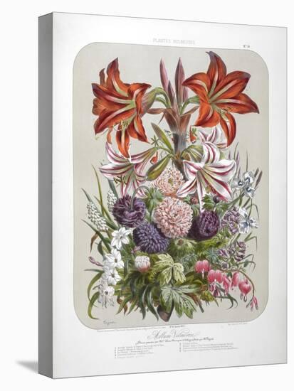 A Bouquet Of Flowers Including Lilies-Elisa Champin-Premier Image Canvas