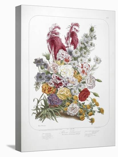 A Bouquet Of Flowers-Elisa Champin-Premier Image Canvas