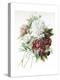 A Bouquet of Red, Pink and White Peonies-Pierre-Joseph Redouté-Premier Image Canvas