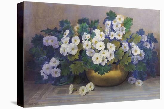 A Bowl of Primulas-Edith Barrow-Premier Image Canvas