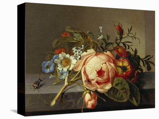 A Branch of Roses with Beetle and Bee, 1741-Rachel Ruysch-Premier Image Canvas