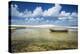 A Brazilian Fishing Boat in Jericoacoara, Brazil-Alex Saberi-Premier Image Canvas