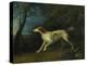 A Brown and White Setter in a Wooded Landscape, 1773-Sawrey Gilpin-Premier Image Canvas