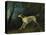 A Brown and White Setter in a Wooded Landscape-Sawrey Gilpin-Premier Image Canvas