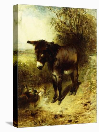 A Brown Study-William Huggins-Premier Image Canvas