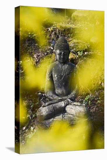 A Buddha Statue in the Garden of Zen Temple Ryumonji Surrounded by Forsythia-null-Premier Image Canvas