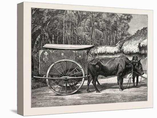 A Bullock Carriage in Cochin-China-null-Premier Image Canvas