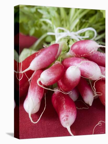 A Bunch of Radishes-Vanessa Colin-Premier Image Canvas