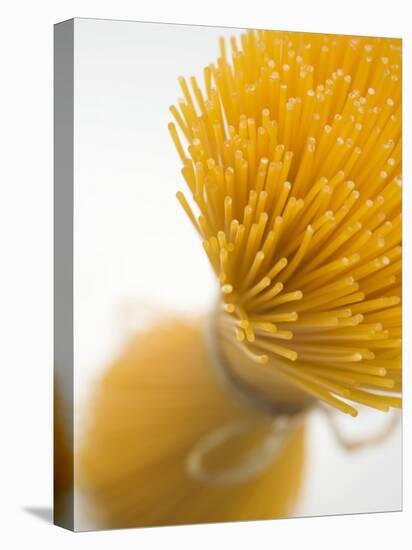 A Bundle of Spaghetti-null-Premier Image Canvas