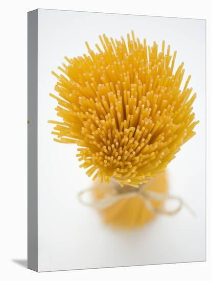 A Bundle of Spaghetti-null-Premier Image Canvas