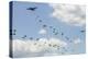 A C-130 Hercules Drop U.S. Army Airborne Troops over Maryland-null-Premier Image Canvas