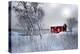 A Cabin For Two-Philippe Sainte-Laudy-Premier Image Canvas