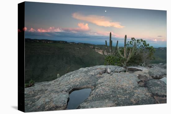 A Cactus at Sunset on Pai Inacio Mountain in Chapada Diamantina at Sunset-Alex Saberi-Premier Image Canvas