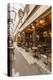 A cafe in Passage des Panoramas, Paris, France, Europe-Julian Elliott-Premier Image Canvas