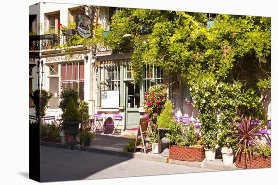 A Cafe in the Backstreets of Ile De La Cite, Paris, France, Europe-Julian Elliott-Premier Image Canvas