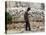 A Cambodian Man Walks Past One of the Many Killing Fields Sites-null-Premier Image Canvas