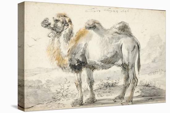 A Camel-Cornelis Saftleven-Premier Image Canvas